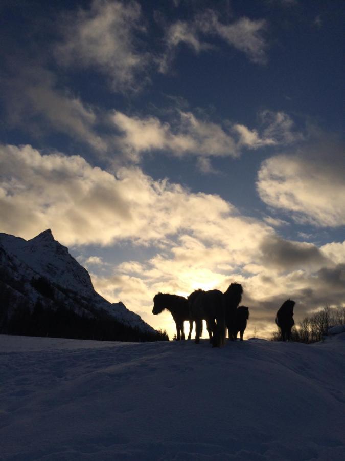 Flo Lofoten Nature Escape Valberg Екстер'єр фото